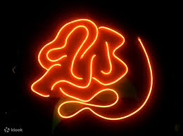 Using LED Neon Lights at Home – Everything You Need to Know