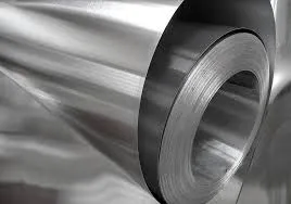winter door seal strip